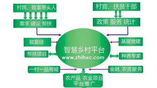 數(shù)字鄉(xiāng)村 概念解析與實(shí)踐路徑——信息技術(shù)咨詢(xún)服務(wù)視角