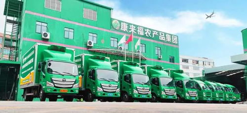 凌晨出發，康來福將新鮮的云南韭菜送上廣州食堂餐桌